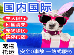 云冈机场快运国际宠物托运 【国
